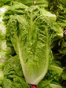 Lettuce Romaine 1 ounce
